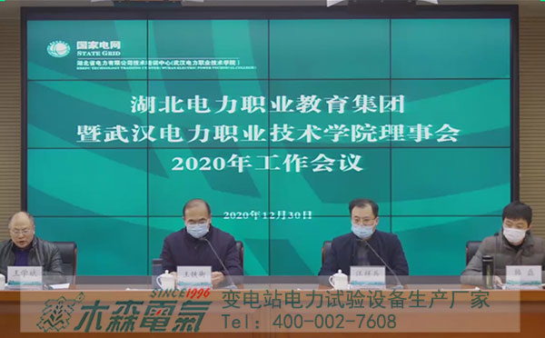 武漢電力職業(yè)技術(shù)學院理事會2020年工作云端會議